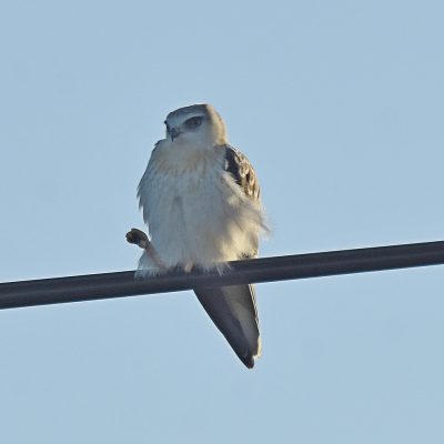 Plettenberg Bay, Western Cape - November 2022