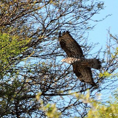 Windhoek - Namibia, 19 Jan 2015