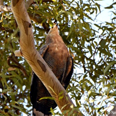 Zwartkop Country Club , 6th July 2018 