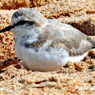 Umhlanga Lagoon, KwaZulu-Natal - August 2025