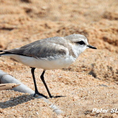 Umhlanga Lagoon, KwaZulu-Natal - August 2025
