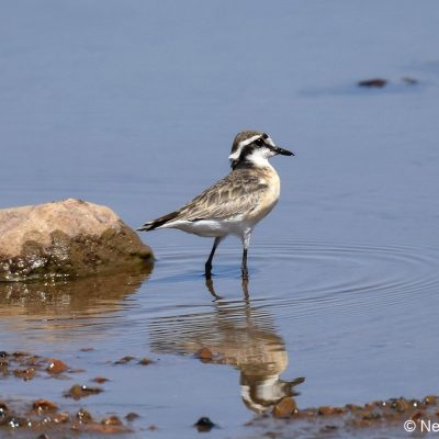 Rust de Winter, 12 September 2019