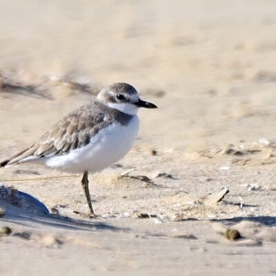 Keurbooms river mouth, Plettenberg Bay - August 2025