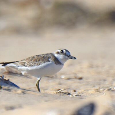 Keurbooms river mouth, Plettenberg Bay - August 2025