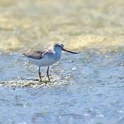 Keurbooms Lagoon, Plettenberg Bay - November 2025