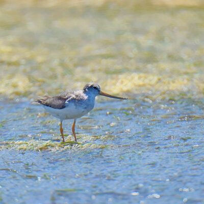 Keurbooms Lagoon, Plettenberg Bay - November 2025