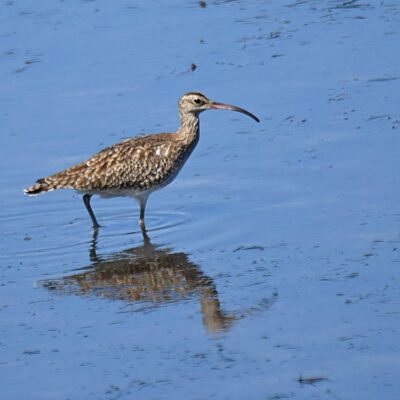 Plettenberg Bay, Western Cape - February 2025