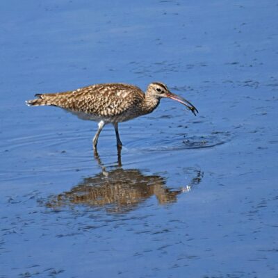 Plettenberg Bay, Western Cape - February 2025