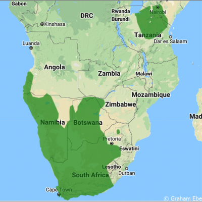 Ref; Datazone.birdlife.org