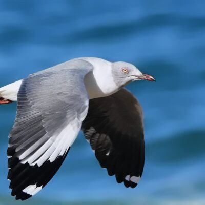 Plettenberg Bay, Western Cape - April 2016