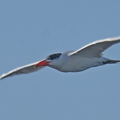 Keurbooms river, Plettenberg Bay, Western Cape - December 2022