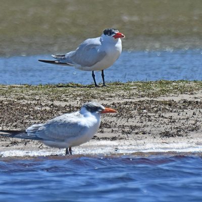Keurbooms river, Plettenberg Bay, Western Cape - October 2023