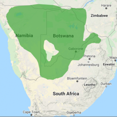 Ref;/Datazone.birdlfe.org.za