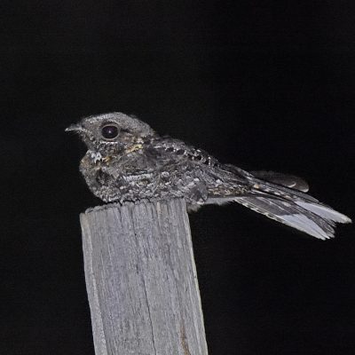 Plettenberg Bay, Western Cape -            
November 2022  