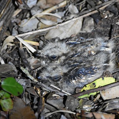 Plettenberg Bay, Western Cape -            
22 November 2022  