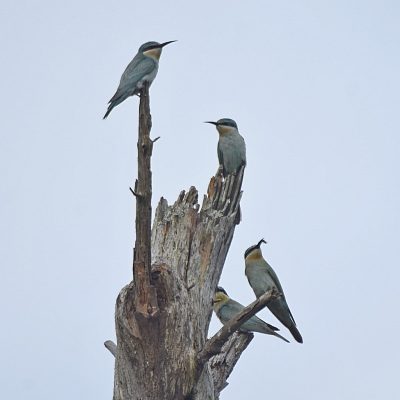 Natures Valley, Plettenberg Bay, Western Cape - December 2023