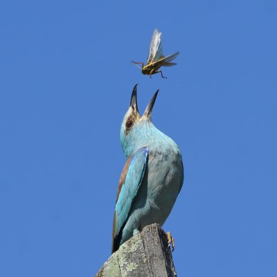 Plettenberg Bay, February 2022