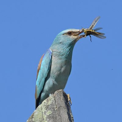 Plettenberg Bay, February 2022