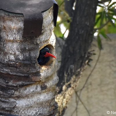 Fourways, 8 September 2019