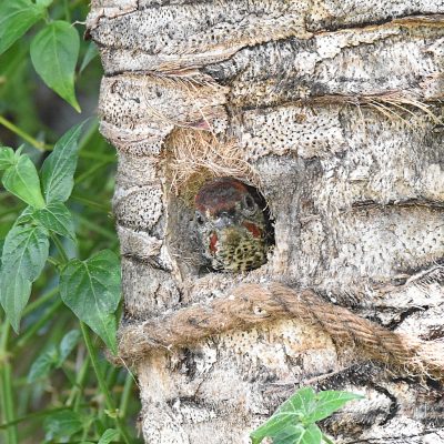 Keurbooms Rd, Plettenberg Bay, Western Cape - November 2022