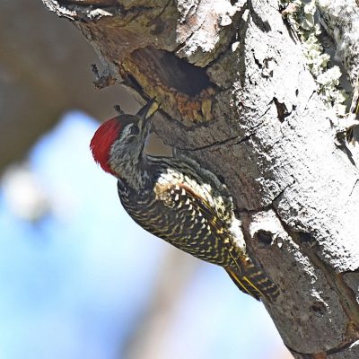 Plettenberg Bay, Western Cape - September 2023