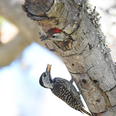 Plettenberg Bay, Western Cape - September 2023