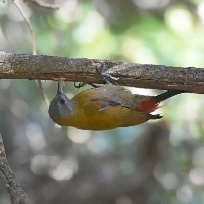 Plettenberg Bay, Western Cape - April 2022