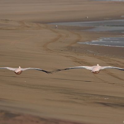 Swakopmund Namibia - August 2008