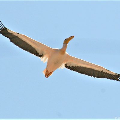 Swakopmund Namibia - August 2008
