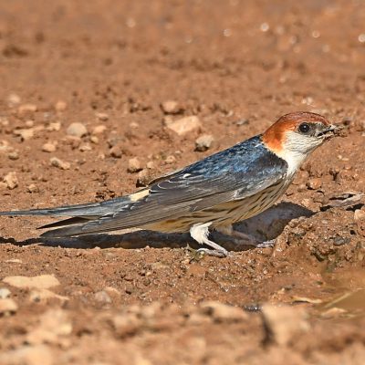 Plettenberg Bay, Western Cape - October 2021