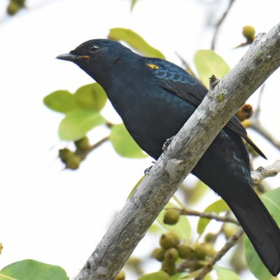 Plettenberg Bay, Western Cape - May 2021