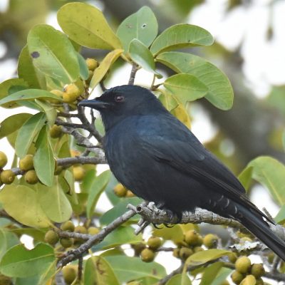 Plettenberg Bay, Western Cape - May 2021