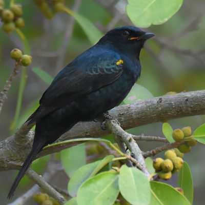 Plettenberg Bay, Western Cape - May 2021