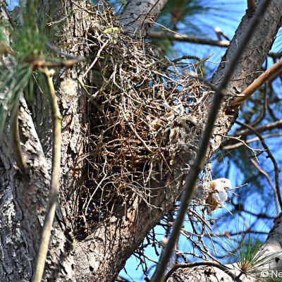 Fourways October 2017