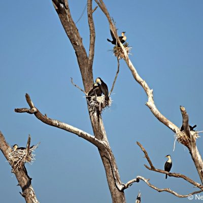 Rietvlei dam (Gauteng),  24 May 2018