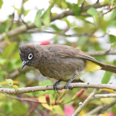 Plettenberg Bay, Western Cape - February 2024