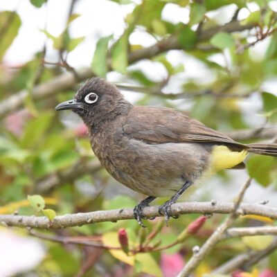 Plettenberg Bay, Western Cape - February 2024