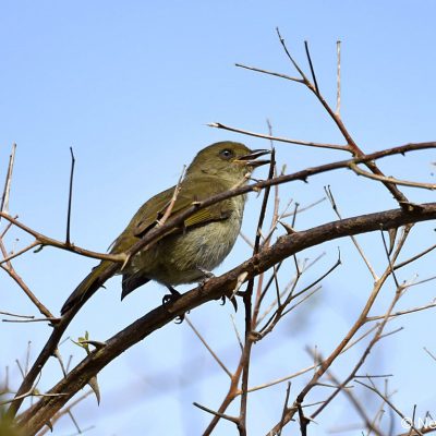 Plettenberg Bay, March 2019