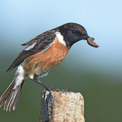 Plettenberg Bay, Western Cape - July 2023