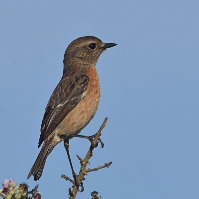 Plettenberg Bay, Western Cape - July 2023