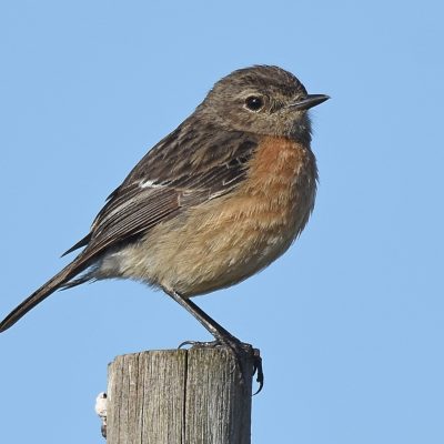 Plettenberg Bay, Western Cape - September 2021