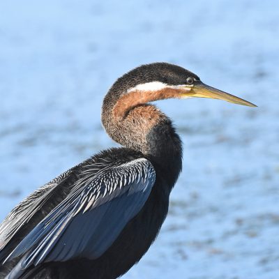 Wilderness National Park, Western Cape July 2022