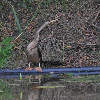 Plettenberg Bay, Western Cape - March 2023