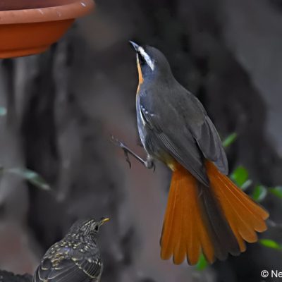 Fourways, Gauteng - September 2017