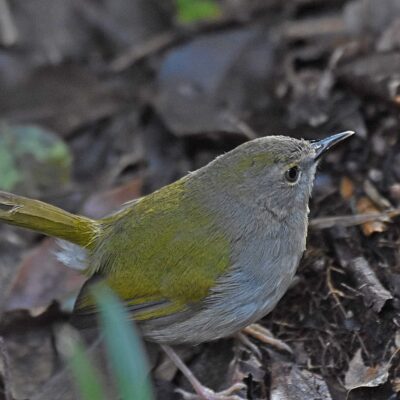 Nature's Way farm stall, Natures Valley rd, Western Cape - April 2024