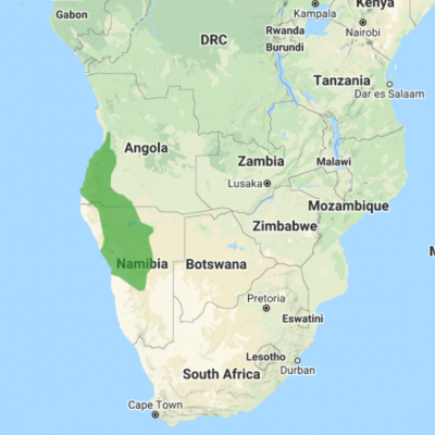 ref:/ Data Zone.birdlife.org.za