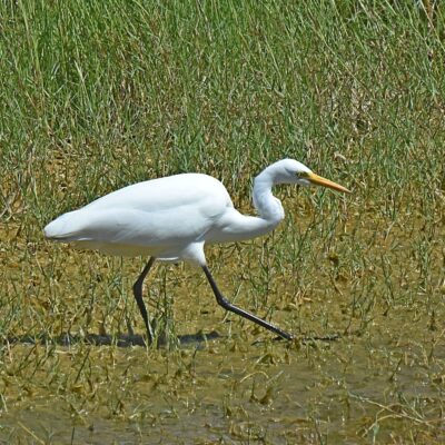 Plettenberg Bay, Western Cape - December 2025