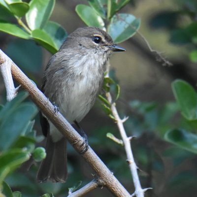 Plettenberg Bay, Western Cape - June 2021