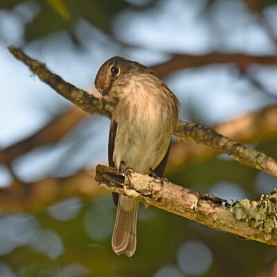 Plettenberg Bay Country Club, Plettenberg Bay, Western Cape - June 2024