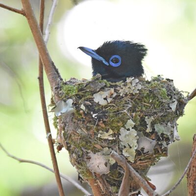 Plettenberg Bay, Western Cape - January 2024